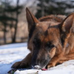 0_dsc06872