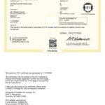 MULLER VOM NIKBERGER LAND PATELLA 11_10_2025 PATELLA