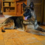 DSC03834