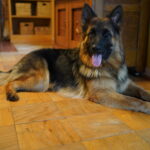 DSC03840