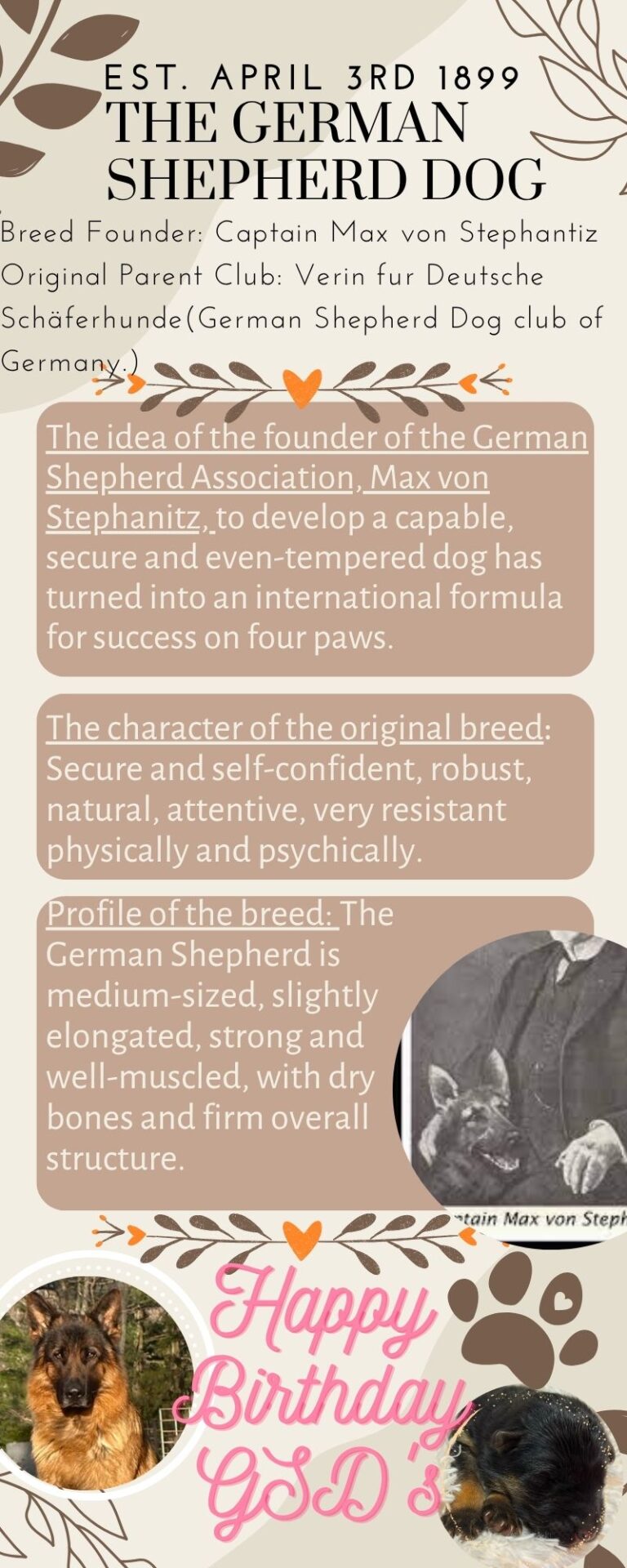 German Shepherd Dog Intelligence Golden Ridge Farm - Main Image